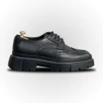 Elegantne muške cipele u crnoj boji, wingtip model, bočna strana.