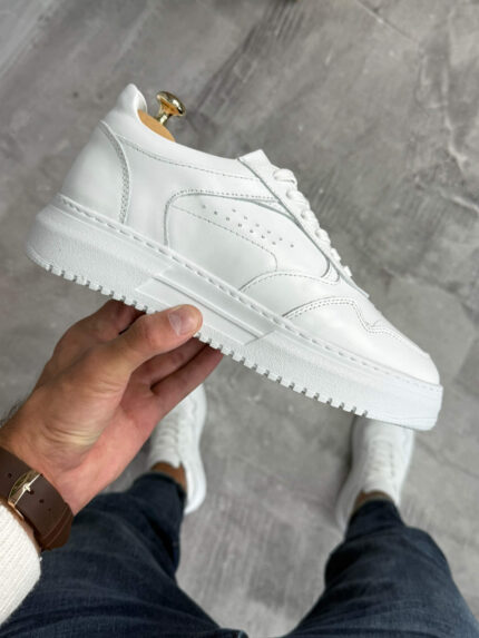 Muške kožne patike TER9536